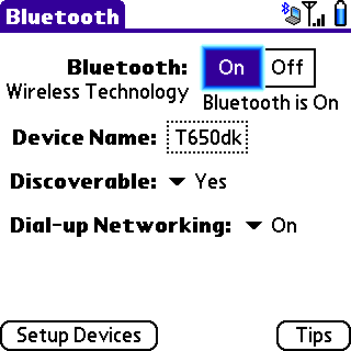 Bluetooth DUN enabled screen